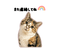 839649437