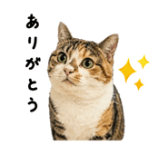 839649440