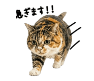 839649444