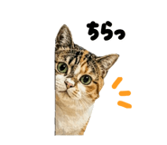 839649447