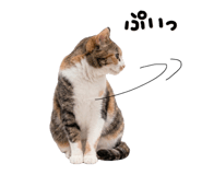 839649448