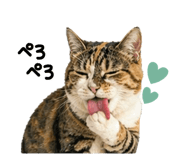 839649452