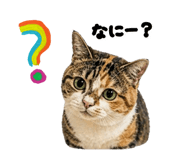 839649462