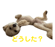 839649549