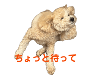839649566