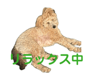 839649569