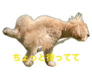 839649578