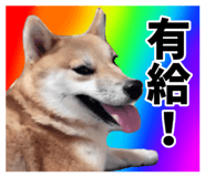 839649746