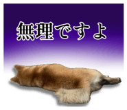 839649751