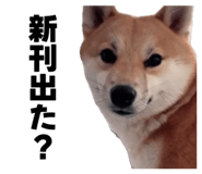 839649755
