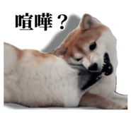 839649756