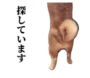 839649759