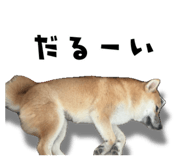 839649760