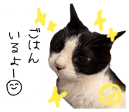 839649880
