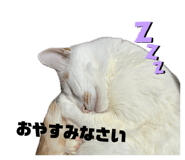 839650465