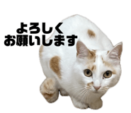 839650470