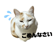 839650471