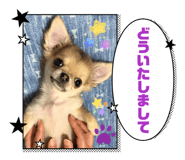 839650480