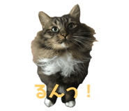 839650633