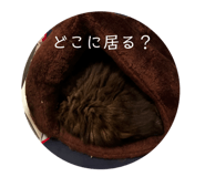 839650637