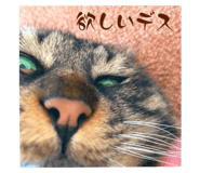 839650638