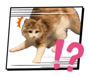 839651043