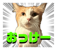 839651049