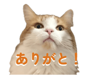 839651050