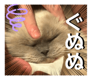839651053