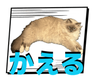 839651054