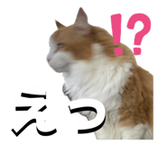 839651062