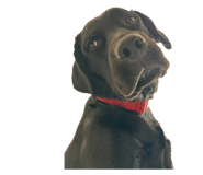 839651218