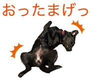 839651219