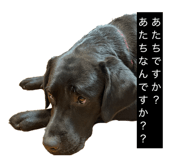 839651223