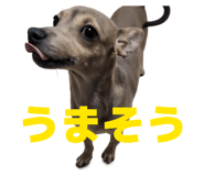 839651243