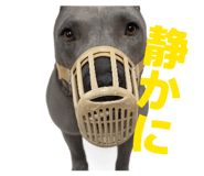 839651244