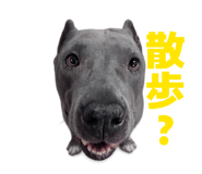 839651245