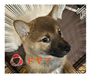 839651253