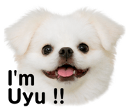 839651361