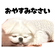 839651365