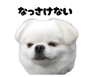 839651367