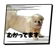 839651373
