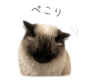 839651813
