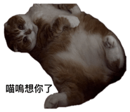 839652744