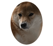 839652994