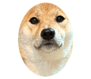 839652997