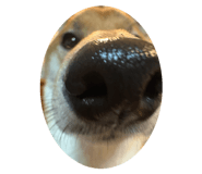 839652999