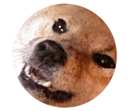 839653000