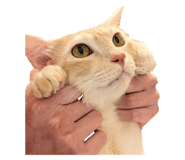 839653020