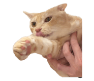 839653021